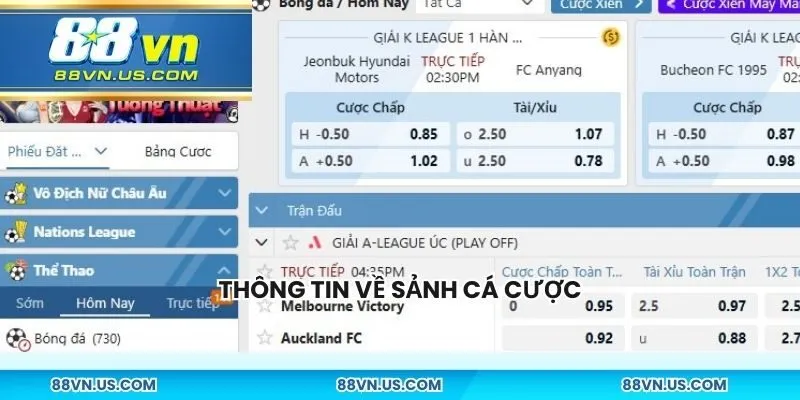 Thông tin về sảnh cá cược