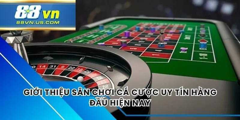 Giới Thiệu Sân Chơi Cá Cược Uy Tín Hàng Đầu Hiện Nay