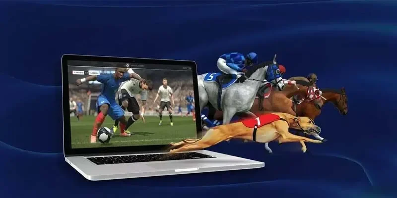 Tỷ lệ cược cạnh tranh, ăn tiền cao hơn